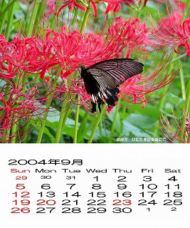 �{��@�J�����_�[2004.9���@�ފ݉�